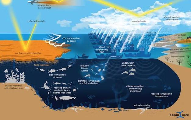 海洋协议(OCEAN)最新动态解析：潜力与挑战并存